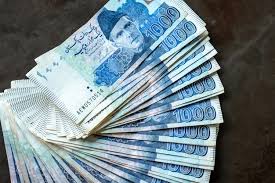 Cash Payment